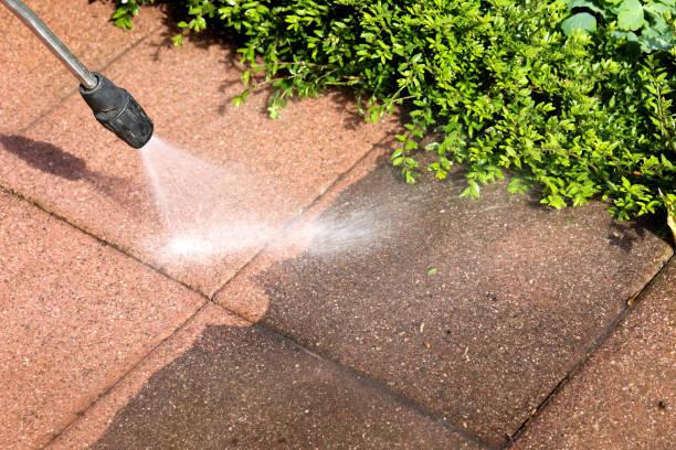 Best Best Pressure Washing Companies  in Ocean Grove, MA